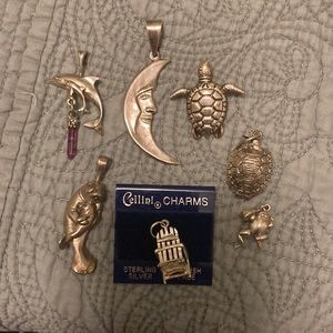 Your Choice of Pendent Dolphin, Moon, Manatee, Sea Turtle, Beach Chair, Frog